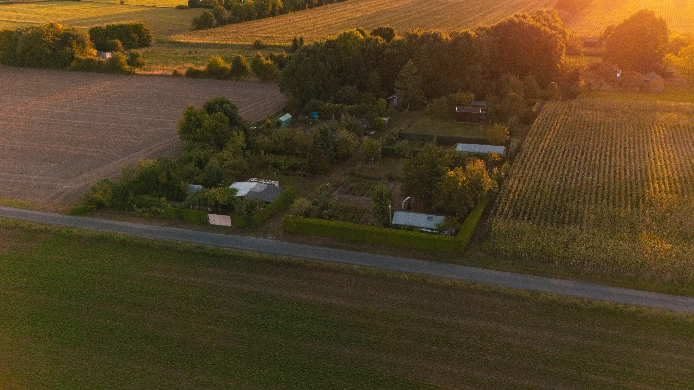 Land im Abendlicht: Landschaft aus der Luft